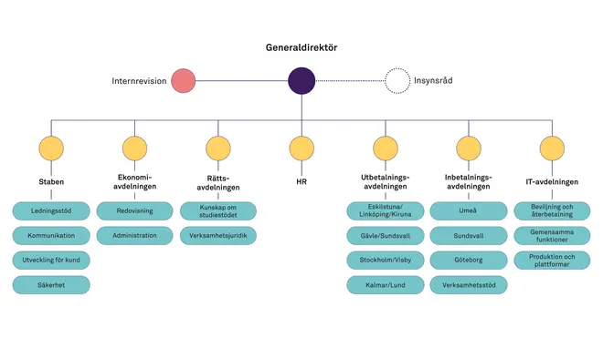 Organisationsbild över CSN med internrevision och insynsråd jämte generaldirektören. Generaldirektören ansvarar för sju avdelningar; staben för utveckling och kommunikation, ekonomiavdelningen, rättsavdelningen, HR, utbetalningsavdelningen, inbetalningsavdelningen samt it-avdelningen.